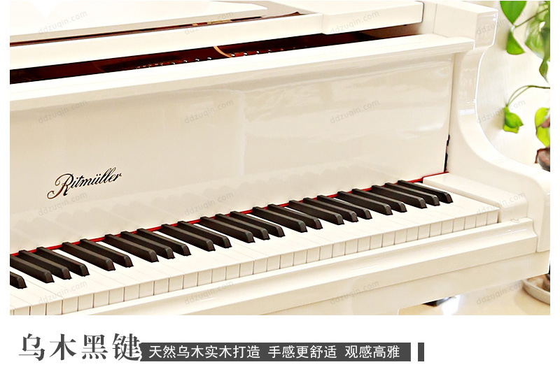  里特米勒钢琴R8的设计风格