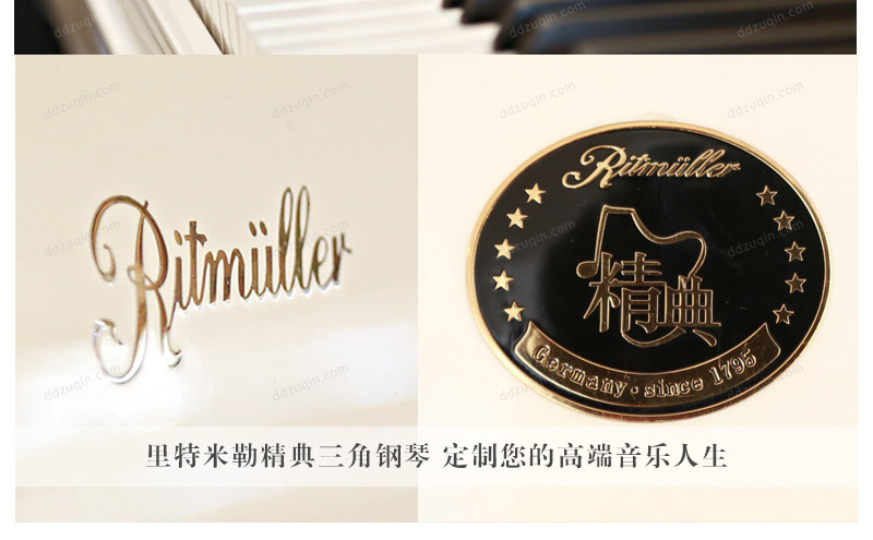  里特米勒钢琴R8的logo