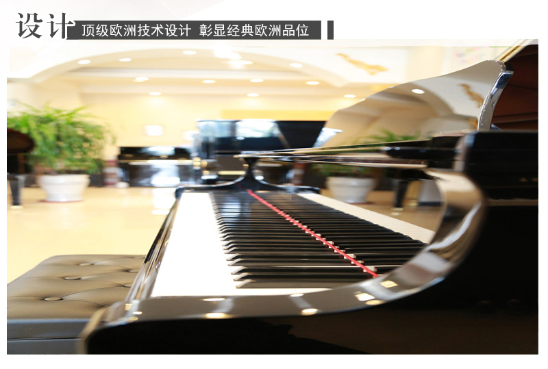 珠江钢琴GP-148采用欧洲顶级设计