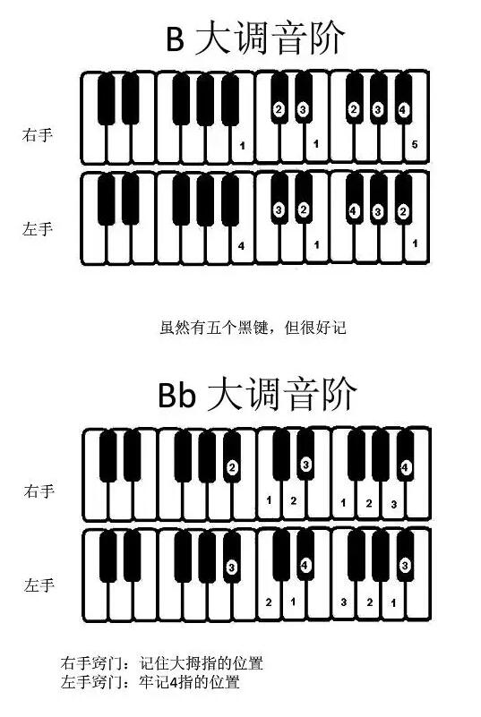 钢琴琶音1351指法图图片