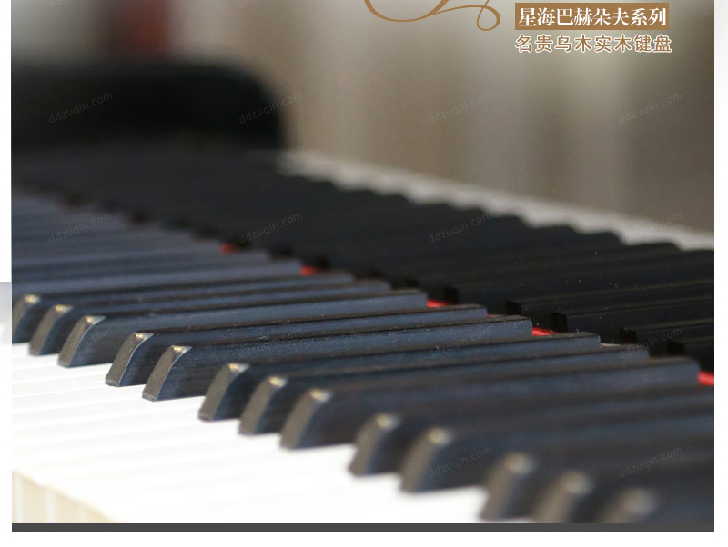  巴赫朵夫168钢琴