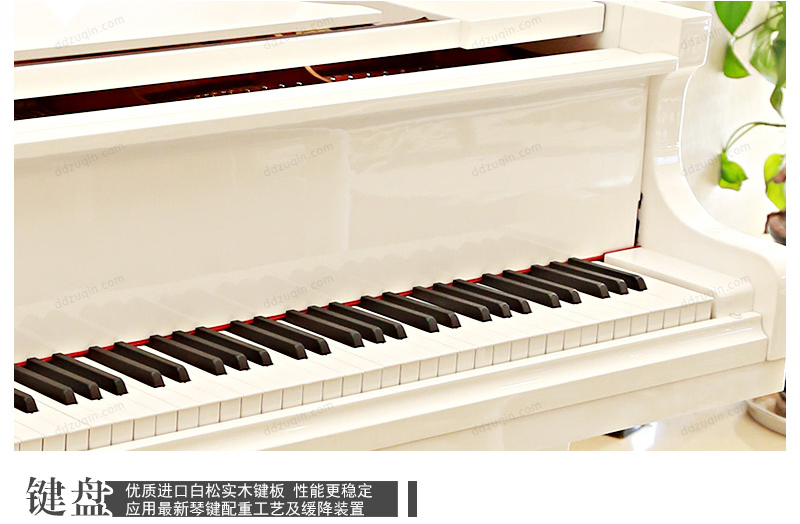珠江148钢琴产品键盘
